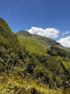 Fotografija s spletne strani Nicola Florini na poti