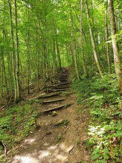 Kuva osoitteesta ReginaSt matkan varrella