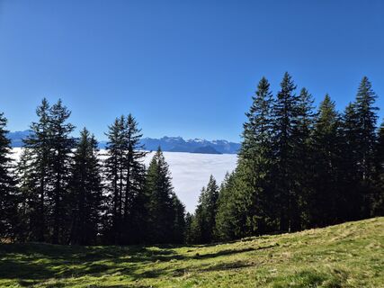 Photo de Markus Christen le long du parcours