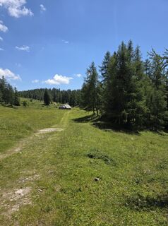 Foto von Walter Dienstl entlang der Tour