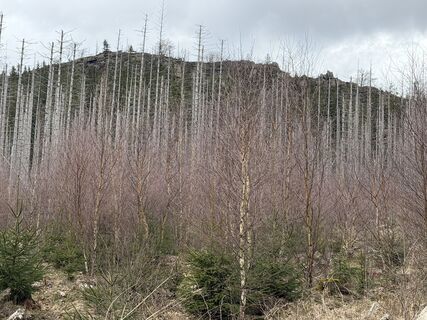 Photo de Christian H. le long du parcours