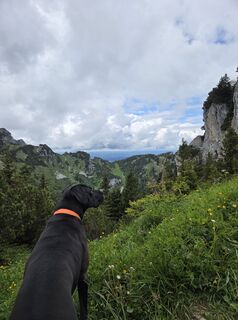 Foto von Silke S. entlang der Tour