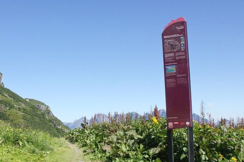 Unterwegs im UNESCO-Weltererbe Tektonikarena Sardona