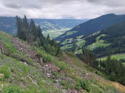 Foto von Felix Brandenburger entlang der Tour