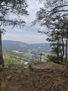 Photo de Anna Kopfmüller le long du parcours