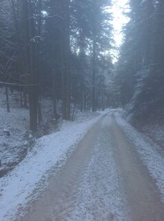 Fotografija s spletne strani Christian Förch na poti