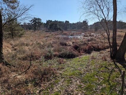 Photo de Matje Derks le long du parcours