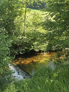 Foto von Michel Kennel entlang der Tour