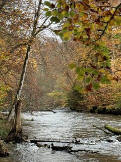 Foto von Denise Miller entlang der Tour