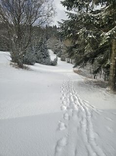 Fotografia z Thomas Kettmann na trase