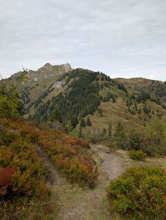 Photo de Andreas Bach le long du parcours