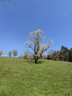Zdjęcie z Sebastiaan Joustra wzdłuż trasy
