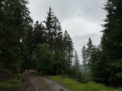 Photo de Peter Kessinger le long du parcours