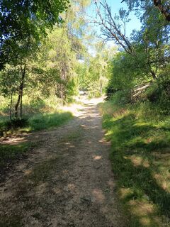 Fotografija s spletne strani Daniel BELAT na poti