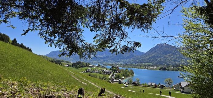 Foto von Elfriede Moessler entlang der Tour
