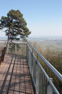 Aussicht