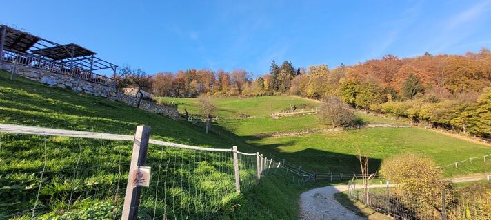 Fotografia z Juliane Jarke na trase