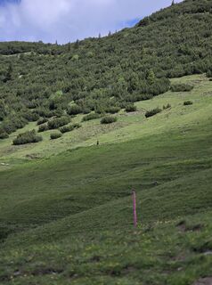 Photo de Carlo Ospelt (Wuffenstein) le long du parcours