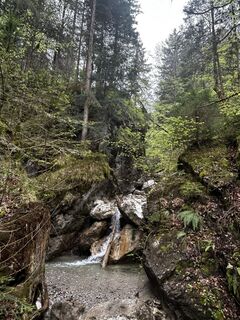 Foto da Katrin Rupprecht lungo il tour