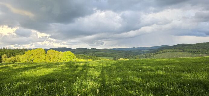 Foto von Kerstin Lindam entlang der Tour