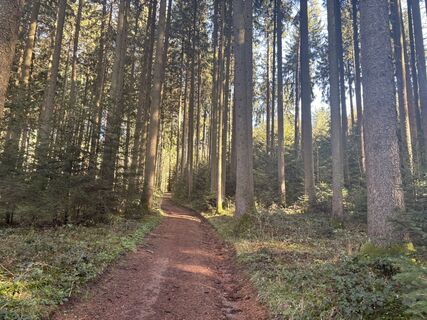 Foto de Nina Astleitner a lo largo del recorrido