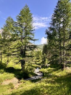 Фото с сайта Ita во время экскурсии