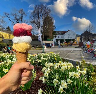 Eisgenuss an der Donauläne