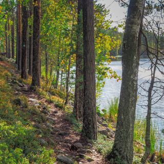 Iso Heinälampi, Uferweg