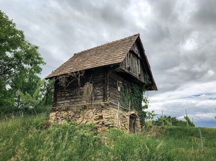 schilcherland - rebenland – ein perspektivenwechsel_img_50131854