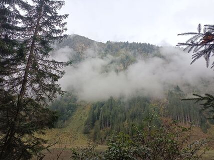 Photo de flexl-f le long du parcours