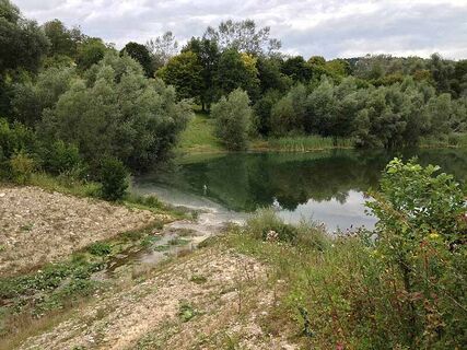 Gültlinger See