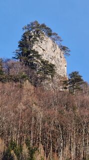 Fotografia z Ernst Brezina na trase