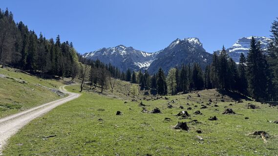Photo de Tommax le long du parcours
