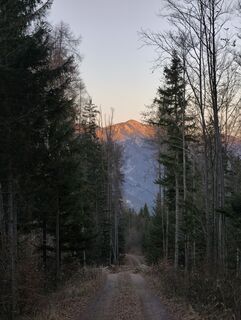 Foto von Alisa Matern entlang der Tour