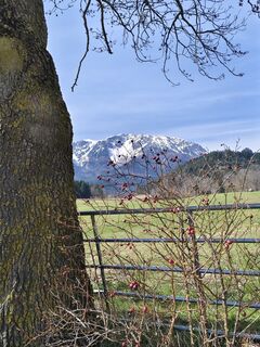 Fotografija s spletne strani Heinz Weber in na poti