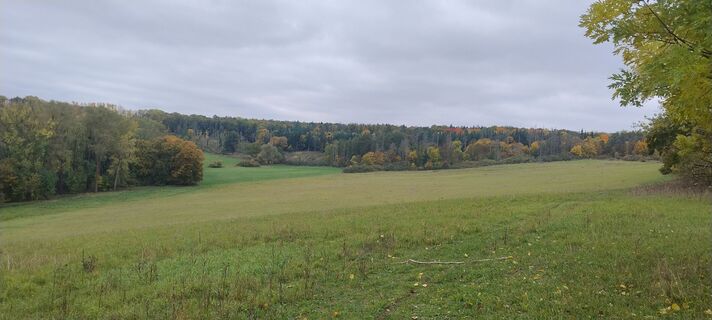 Zdjęcie z Betzenbergfex wzdłuż trasy