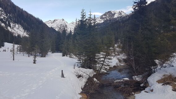 Weg entlang des Stallerbaches