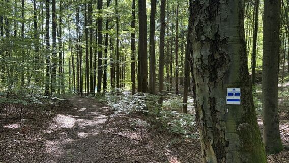 Fotografia z Jörg Lengenfelder na trase