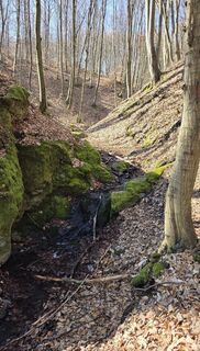 Zdjęcie z János Zsolt Mahr wzdłuż trasy