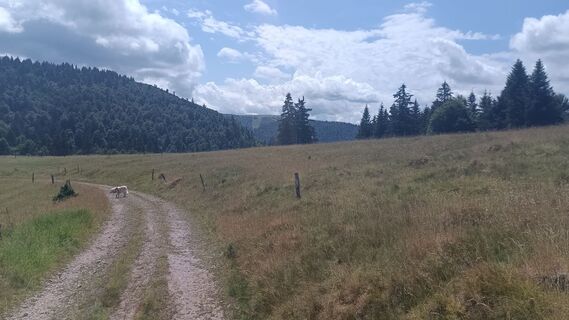 Zdjęcie z Günter Hopfinger wzdłuż trasy
