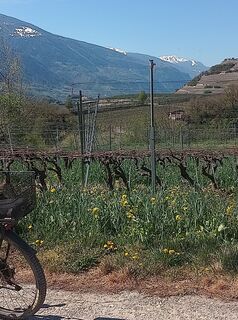 Fotografia z Jean-Pierre Sion na trase