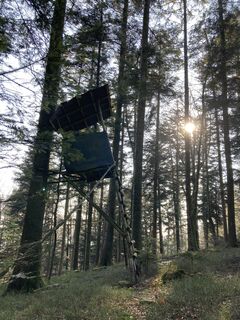 Foto da Björn Grampp lungo il tour