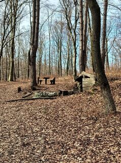 Zdjęcie z Julika Jármer wzdłuż trasy
