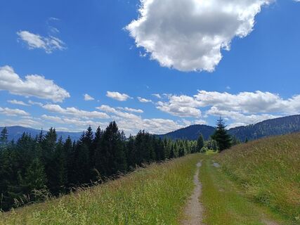 Foto de Žaneta Schelling a lo largo del recorrido