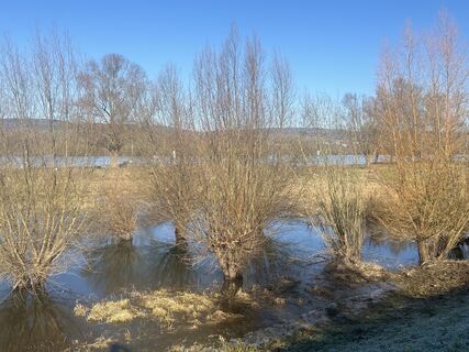 Foto von Wilfried Wagner entlang der Tour