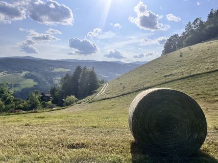 Fotografija s spletne strani Robert Sackl na poti