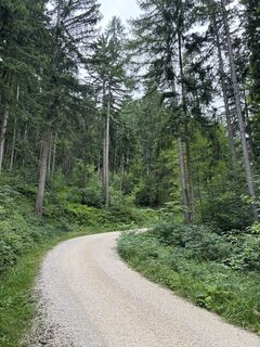 Teisendorf_Stoisseralm