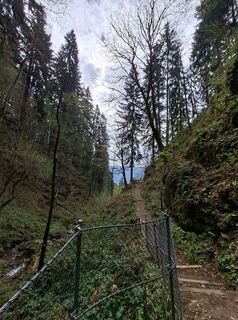 Foto von Christine Walzel64 entlang der Tour