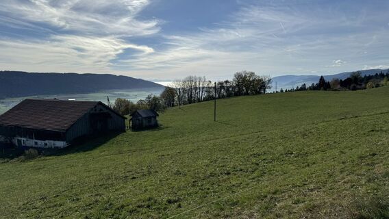 Kuva osoitteesta peter_oe matkan varrella