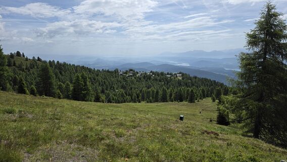 Fotografija s spletne strani euterpe42 na poti